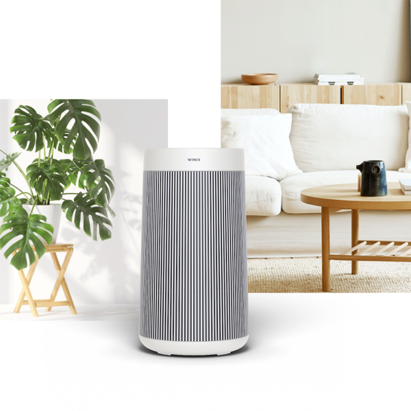 comprar purificador de aire